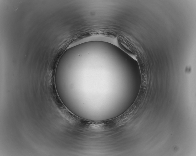 X0000094430560200711291535