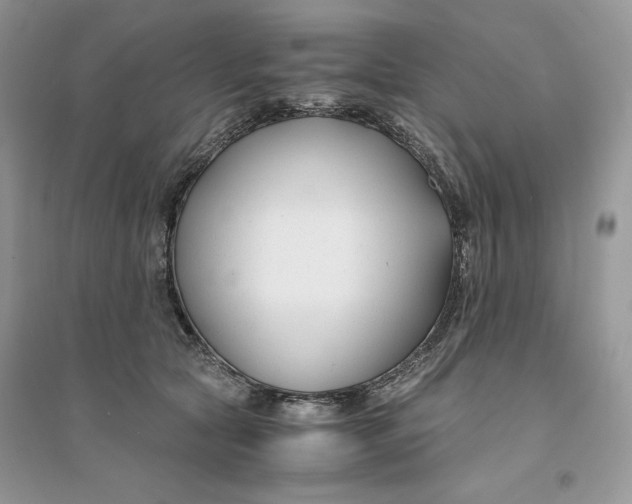 X0000094430561200711291535