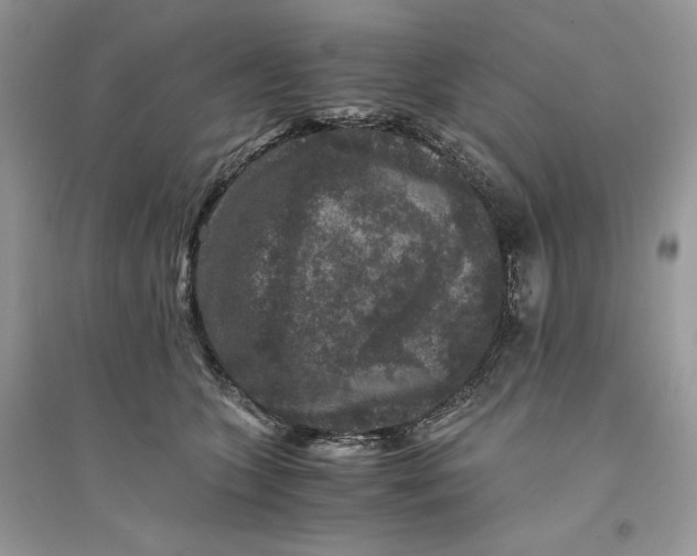 X0000094430563200711291535