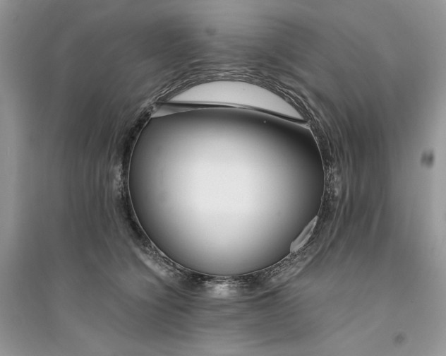 X0000094430564200711291535