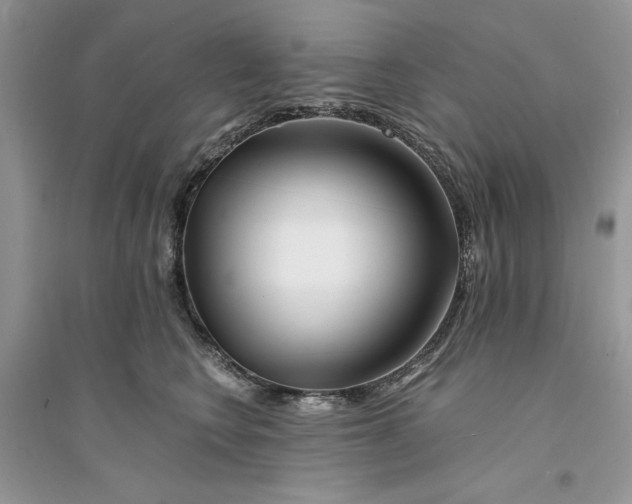 X0000094430566200711291535