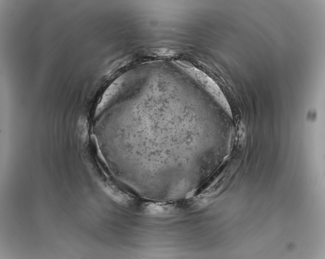 X0000094430568200711291535