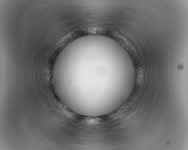 X0000094430569200711291535