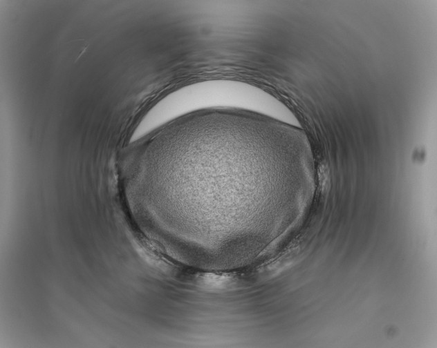 X0000094430570200711291535