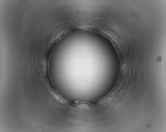 X0000094430572200711291535