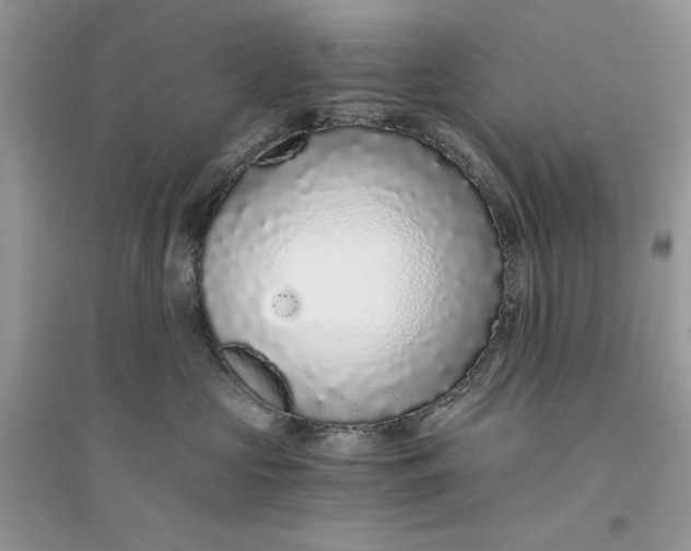 X0000094430573200711291535