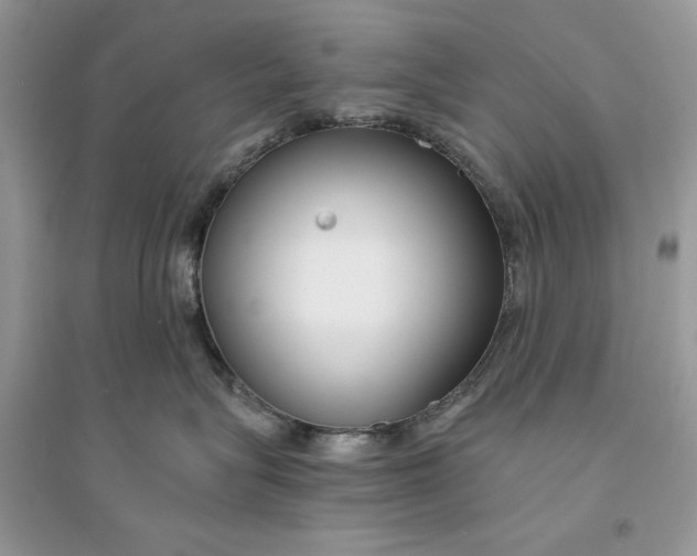 X0000094430575200711291535