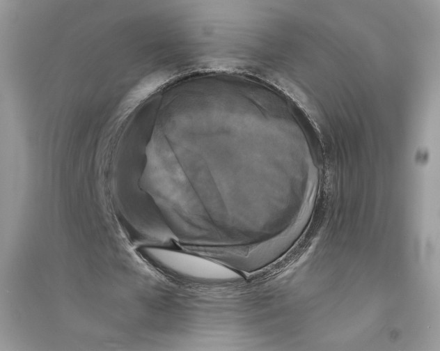 X0000094430577200711291535