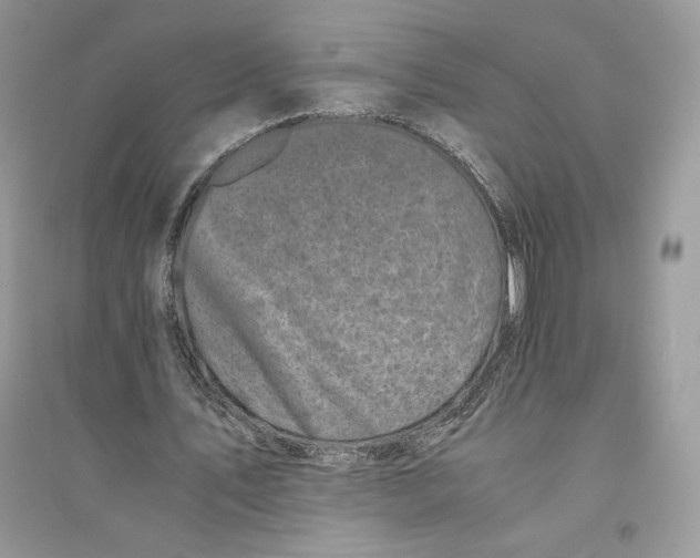 X0000094430579200711291535