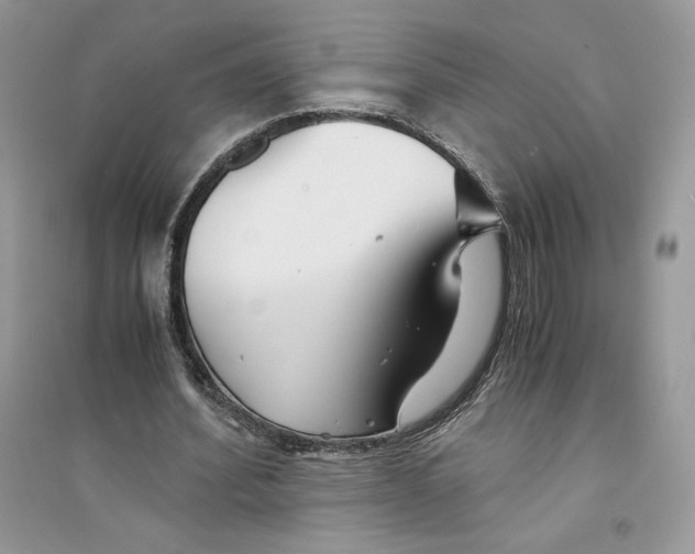 X0000094430580200711291535