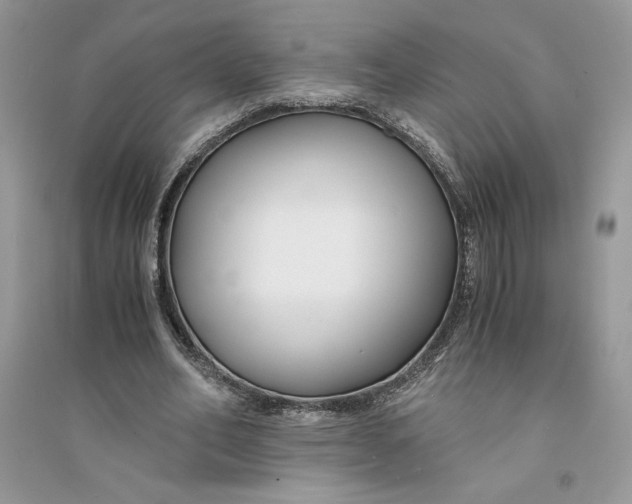 X0000094430582200711291535