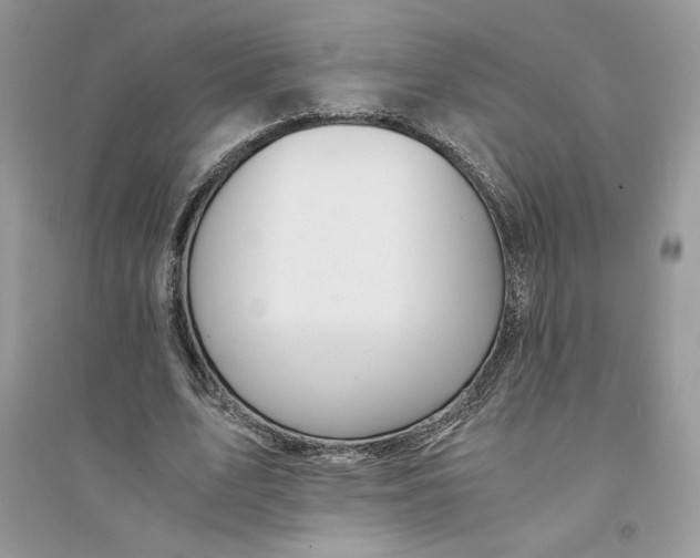 X0000094430583200711291535