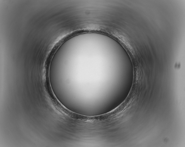 X0000094430584200711291535