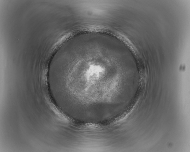 X0000094430585200711291535