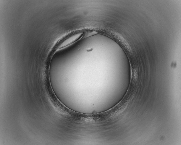 X0000094430588200711291535