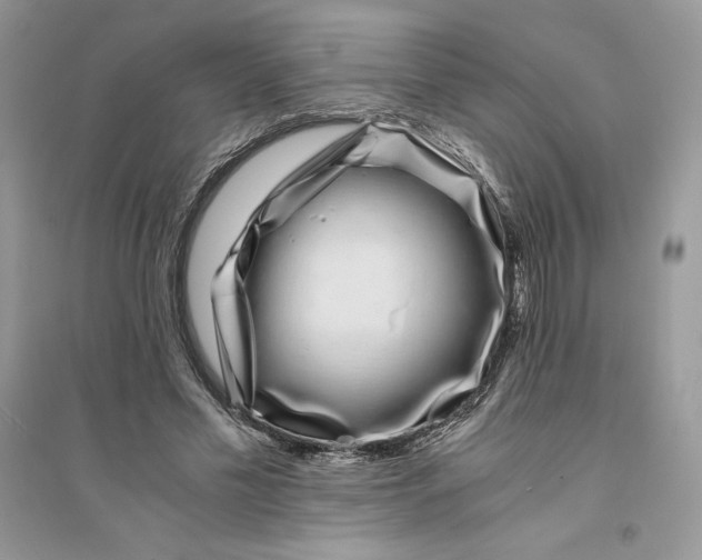 X0000094430589200711291535