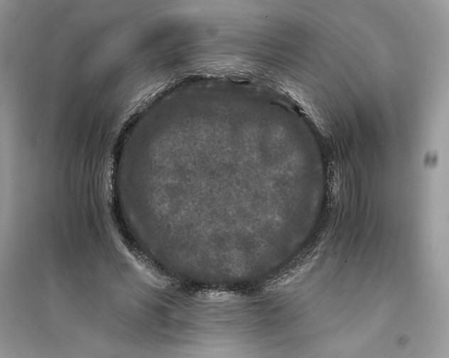 X0000094430590200711291534