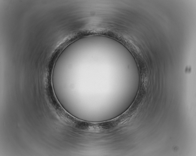 X0000094430591200711291534