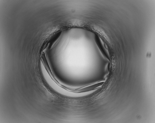 X0000094430593200711291534