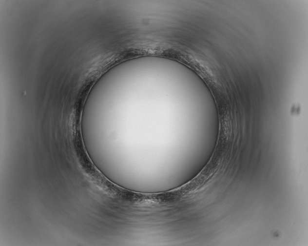 X0000094430594200711291534