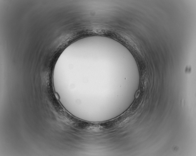 X0000094430595200711291534