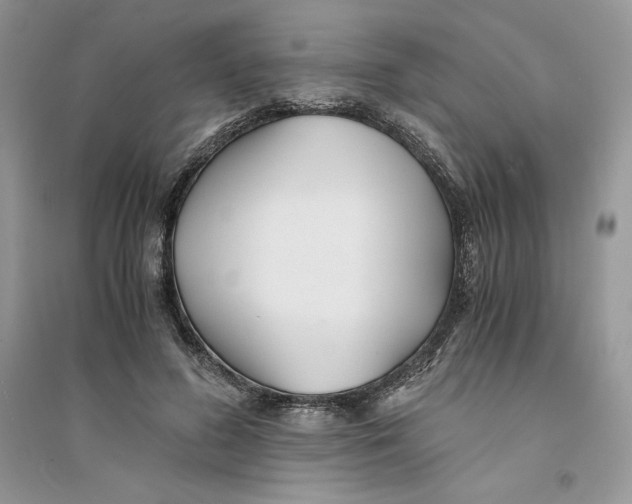 X0000094430596200711291534