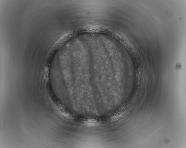 X0000094430598200711291534