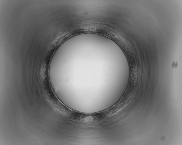 X0000094430600200711291534