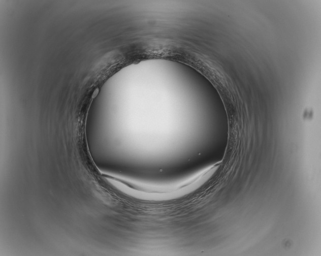 X0000094430601200711291534