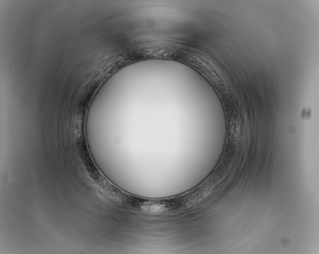 X0000094430602200711291534