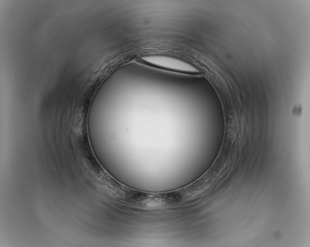 X0000094430604200711291534