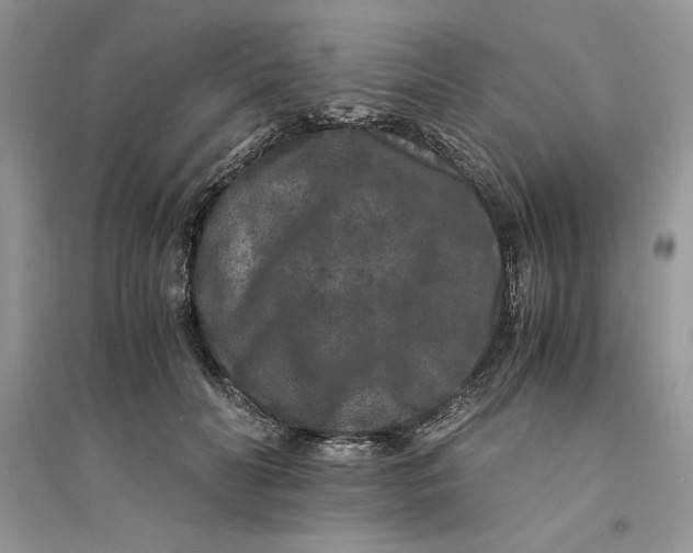 X0000094430606200711291534