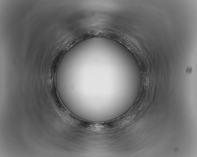 X0000094430607200711291534