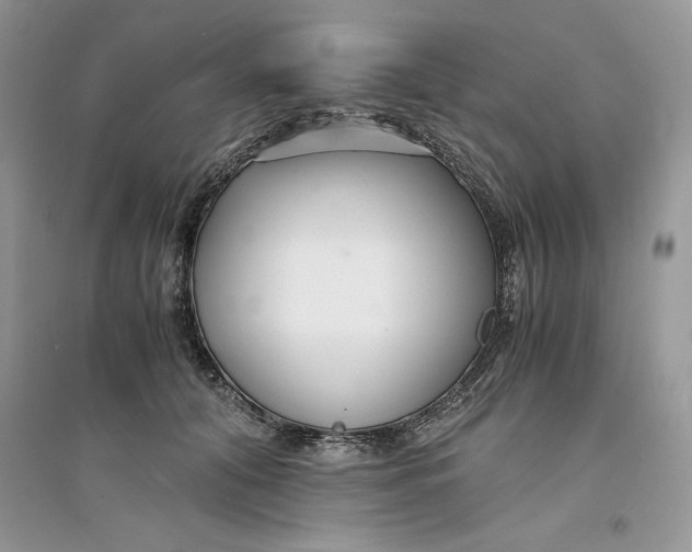 X0000094430608200711291534