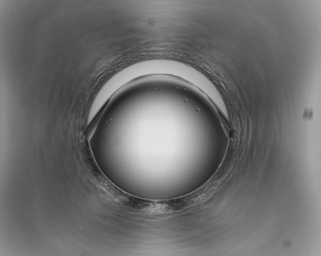 X0000094430609200711291534