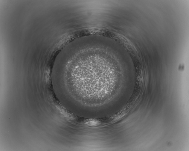 X0000094430610200711291534