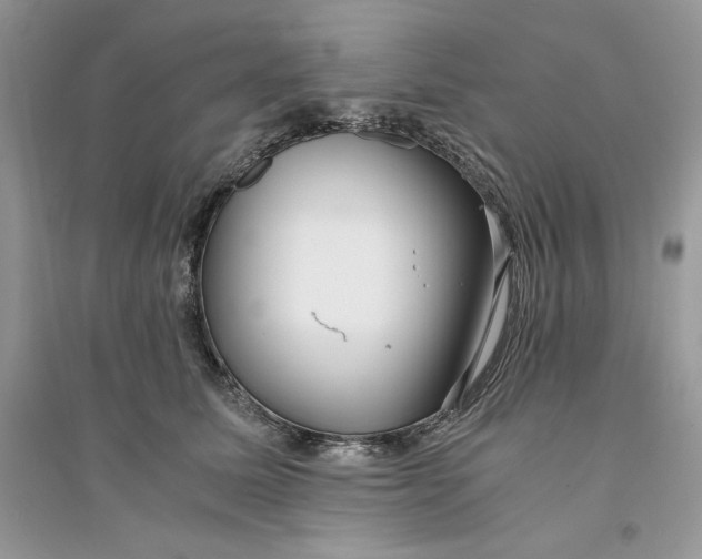 X0000094430611200711291534