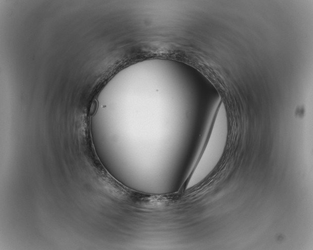 X0000094430612200711291534