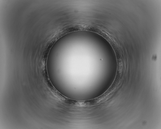 X0000094430613200711291534