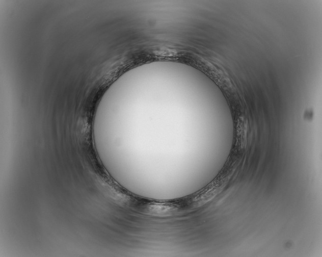 X0000094430614200711291534