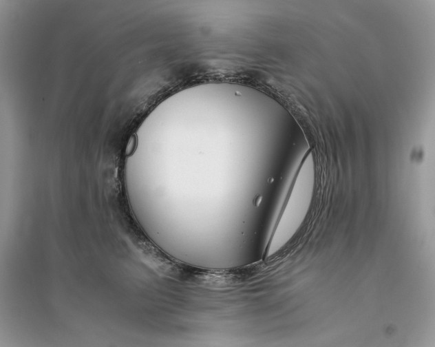 X0000094430615200711291534