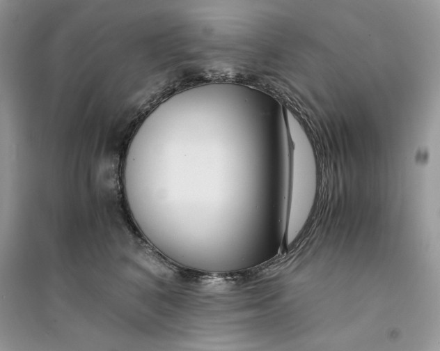 X0000094430616200711291534