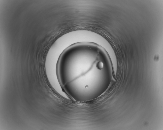 X0000094430617200711291534