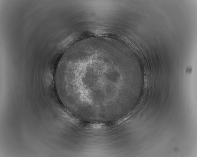 X0000094430618200711291534