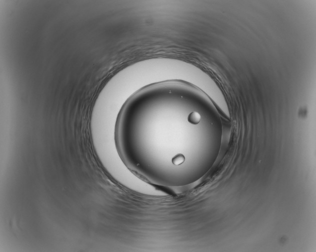 X0000094430621200711291534