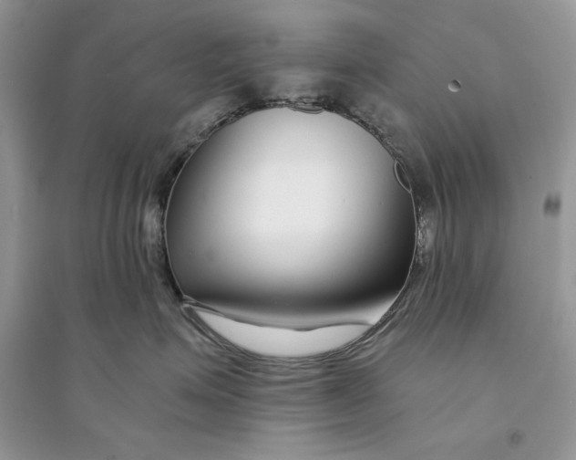 X0000094430623200711291534