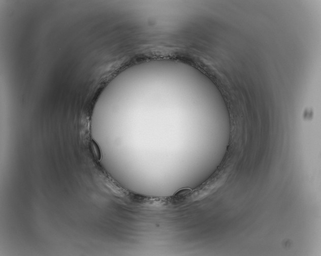 X0000094430624200711291534