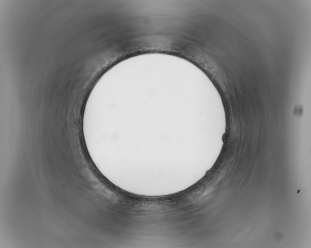 X0000094430625200711291533