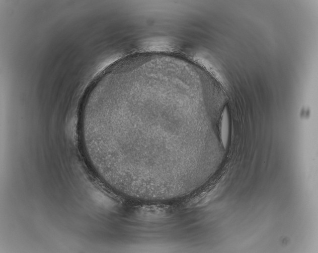 X0000094430627200711291533