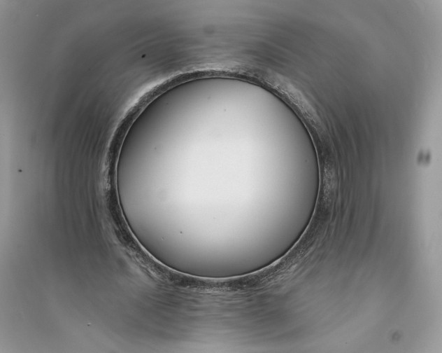 X0000094430628200711291533